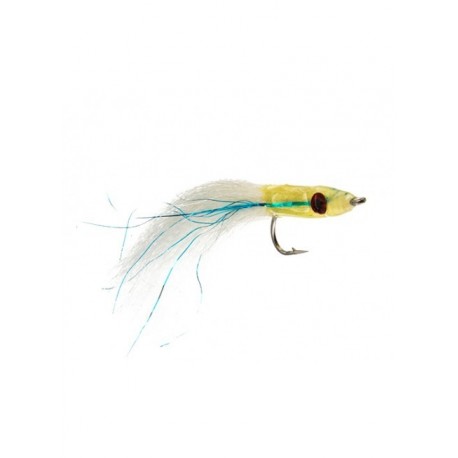 glass minnow