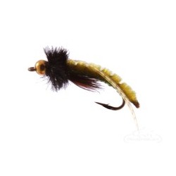 Caddis Poopah Bead Head Olive
