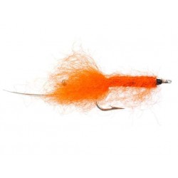 orange wooly shrimp