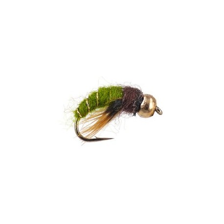 Caddis Pupa Olive