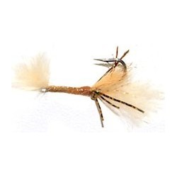 tan epoxy shrimp