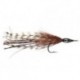 tarpon cockroach