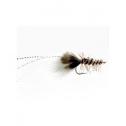 carp crawdad gray carp