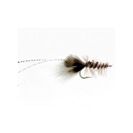 carp crawdad gray carp