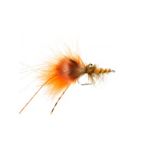 carp crawdad orange carp
