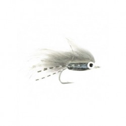 carp crawfish gray carp