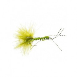 damsel rubber olive carp