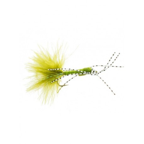 damsel rubber olive carp