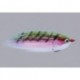 RAINYS WARMWATER BAITFISH