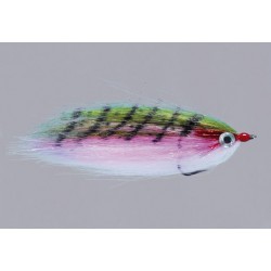 RAINYS WARMWATER BAITFISH