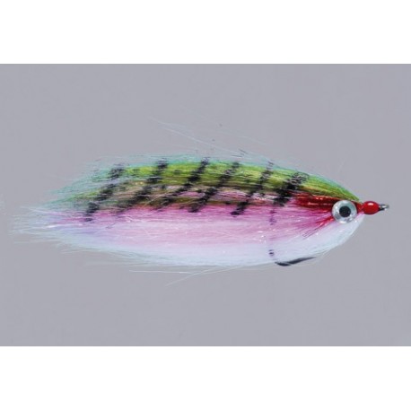 RAINYS WARMWATER BAITFISH