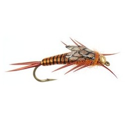 Copper John Nymph Bead Head Copper