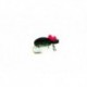 Beetle, Black