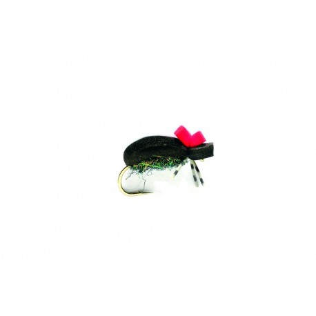 Beetle, Black