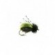 beetle kiwi