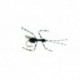 Bill's Black Flying Ant