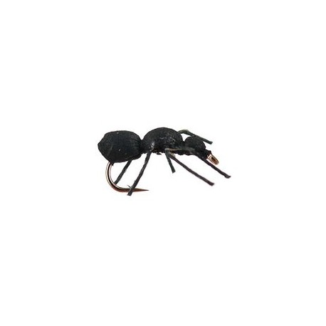 Black Ant