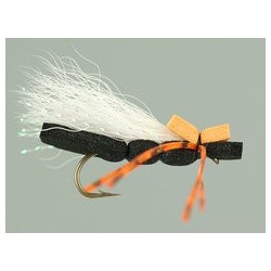 Black Para Ant