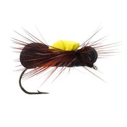 black gnat twilight