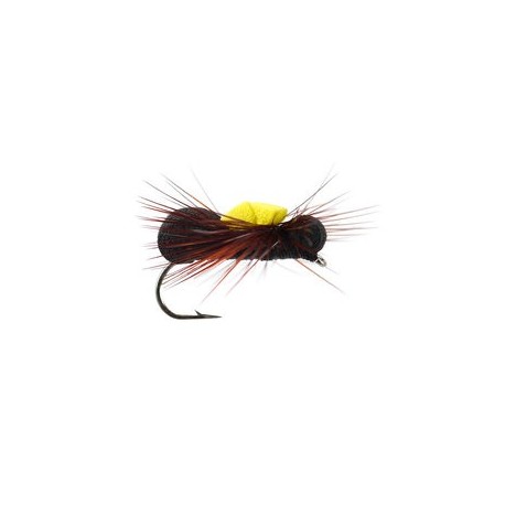 black gnat twilight