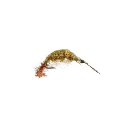 Classic Gammarus Olive Bead BL