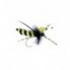 bumblebee
