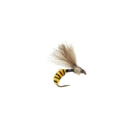 CDC Catching Wasp