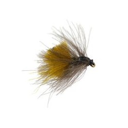 CDC Fat Bumblebee   Bombo Grosso