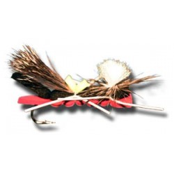 Chernobyl Ant Black & Orange