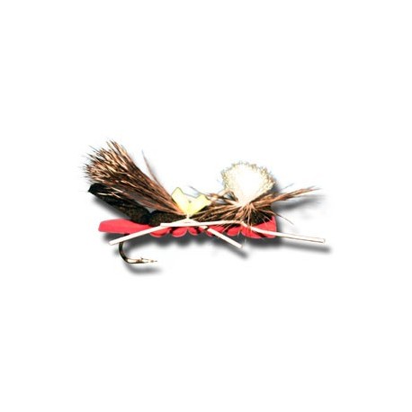 Chernobyl Ant Black & Orange