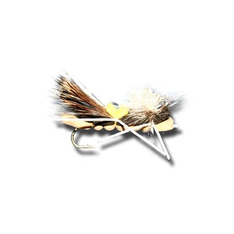 Chernobyl Ant Black & Tan