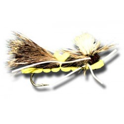 Chernobyl Ant Black & Yellow