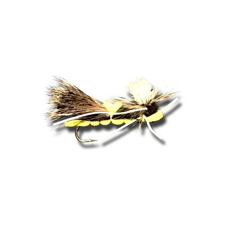 Chernobyl Ant Black & Yellow