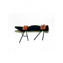 Chernobyl Ant