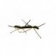 Chernobyl Hopper Tan Black