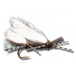 Chubby Chernobyl Black Black