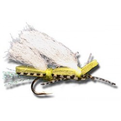 Chubby Chernobyl Olive Olive