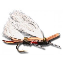 Chubby Chernobyl Royal