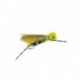 grand hopper yellow