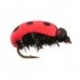 Lady Bug Foam