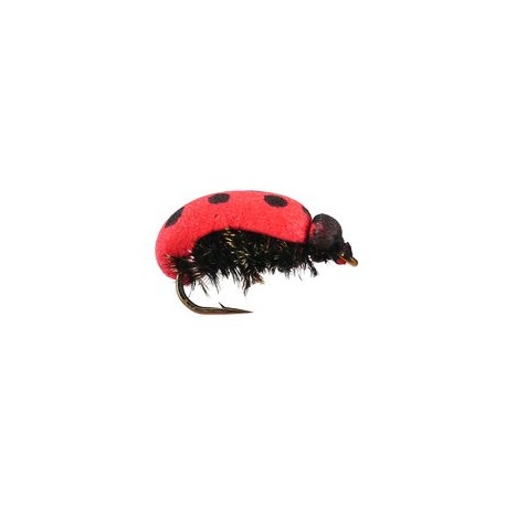 Lady Bug Foam