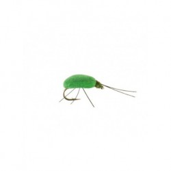 leaf hopper