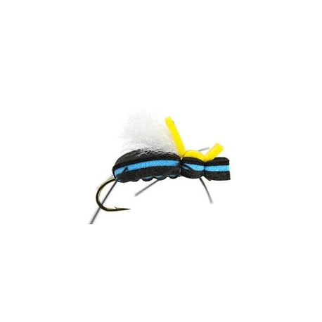 Mauro Raspinis Escarabajo  Green