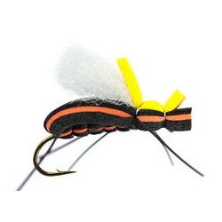 Mauro Raspinis Escarabajo Orange