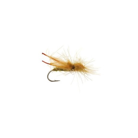 Olive CDC Hopper