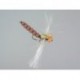 Realistic Foam Dragonfly Brown