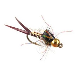 Copperback Stone   Gold