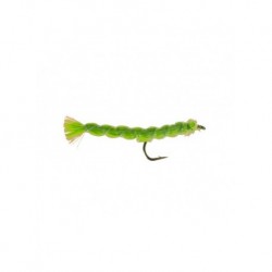 inchworm