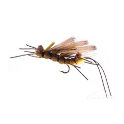 King Kong Salmon Fly Stonefly Adult