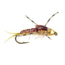 Damiens Six Sick Stone Golden